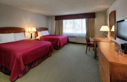 غرفة قياسية, Golden Sails