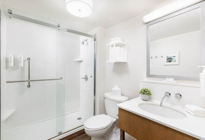 带2个双人床的标准工作室, Hampton Inn Long Island/islandia