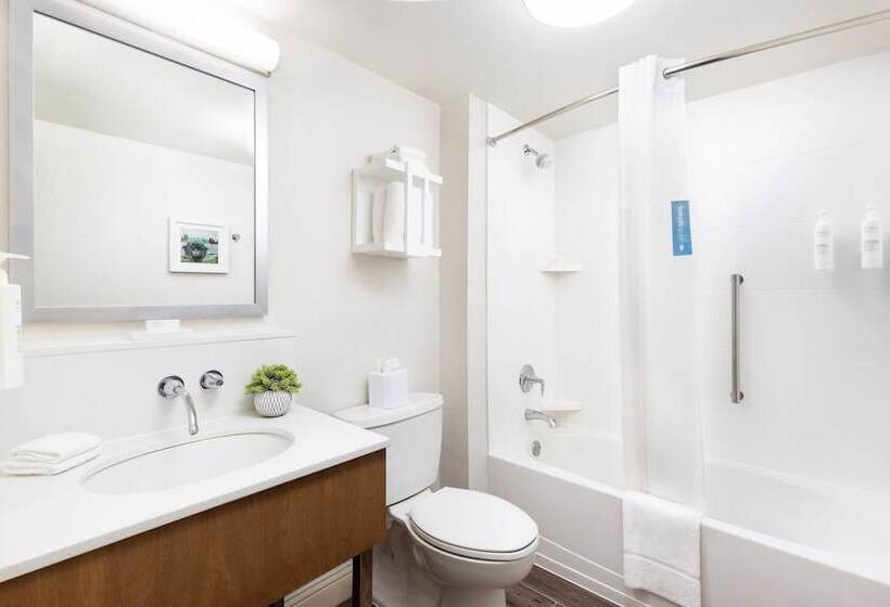 Номер Стандарт 2 Двуспальные Кровати, Hampton Inn Long Island/islandia