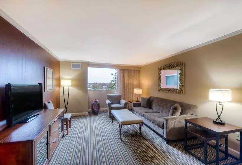 سوییت جونیور, Doubletree By Hilton Akron Fairlawn