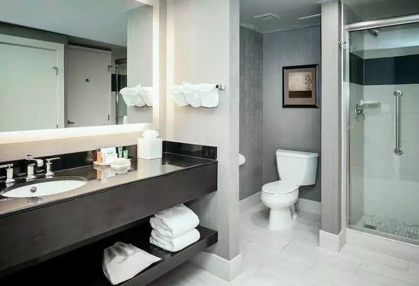スイート, Hilton Brentwood/nashville Suites