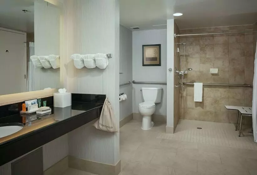 身障者適用ダブルベッド付きスタンダードルーム, Hilton Brentwood/nashville Suites
