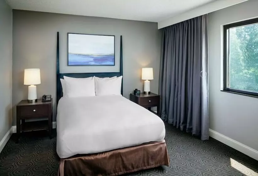 身障者適用ダブルベッド付きスタンダードルーム, Hilton Brentwood/nashville Suites