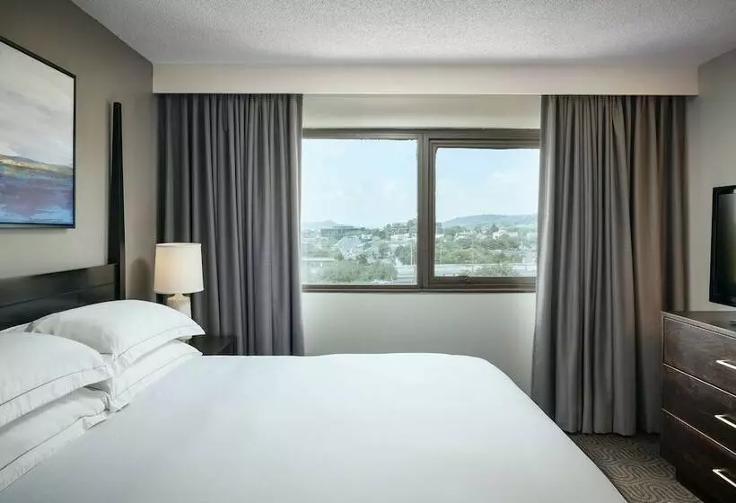 身障者適用ダブルベッド付きスタンダードルーム, Hilton Brentwood/nashville Suites