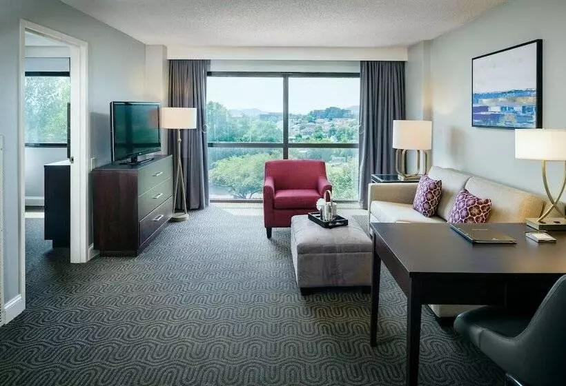 身障者適用ダブルベッド付きスタンダードルーム, Hilton Brentwood/nashville Suites
