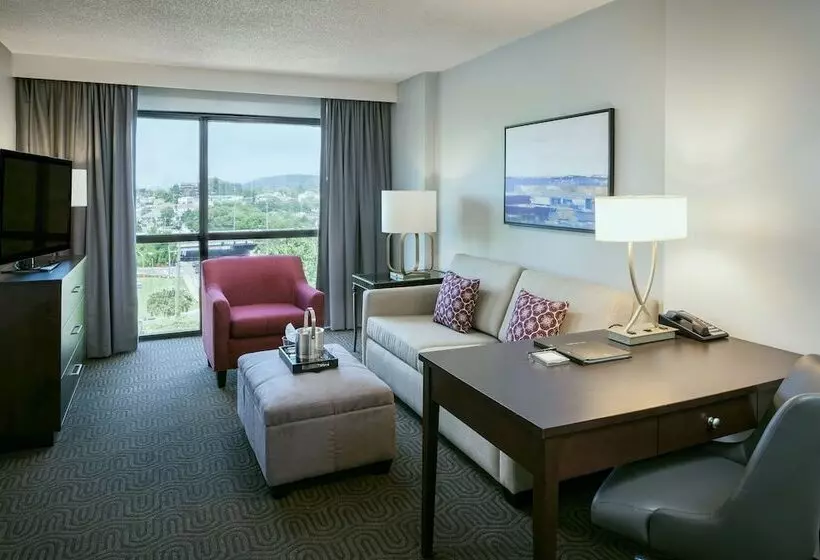 エクゼクティブルーム, Hilton Brentwood/nashville Suites
