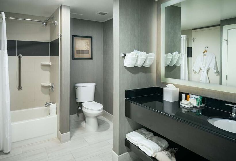 غرفة تنفيذية, Hilton Brentwood/nashville Suites