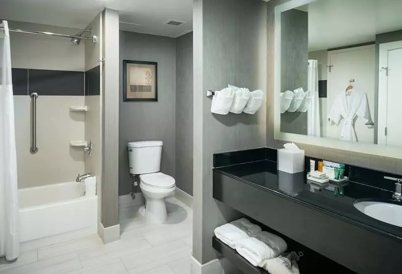 エクゼクティブルーム, Hilton Brentwood/nashville Suites