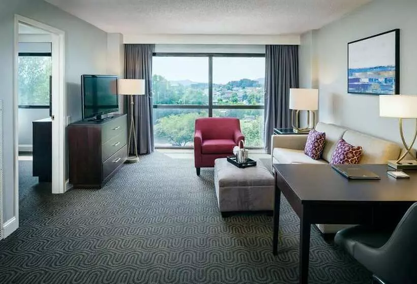 スイート, Hilton Brentwood/nashville Suites