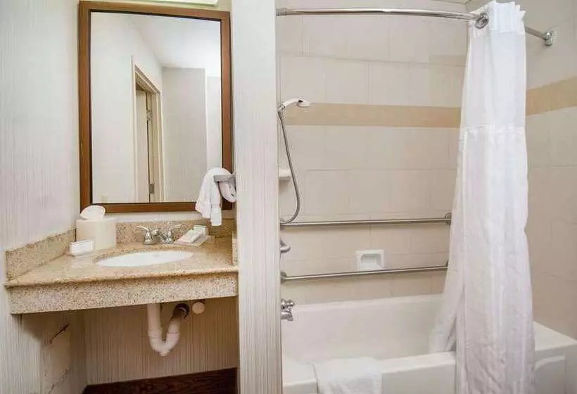 スイート, Hilton Brentwood/nashville Suites