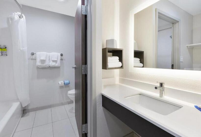 Номер Стандарт 2 Двуспальные Кровати, Holiday Inn Express Detroit Warren/general Motors Technology Center, An Ihg