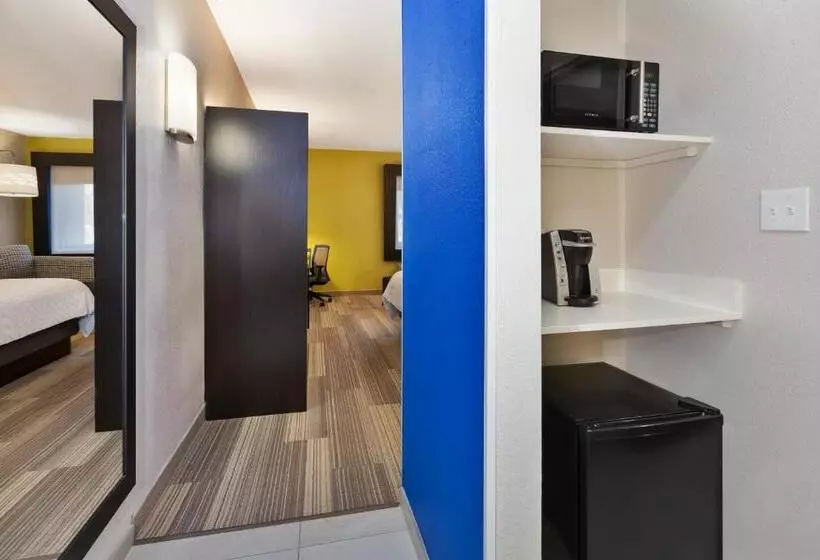 身障者適用キングサイズベッドルーム, Holiday Inn Express Detroit Warren/general Motors Technology Center, An Ihg