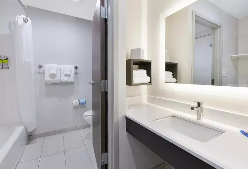 身障者適用スタンダードルーム, Holiday Inn Express Detroit Warren/general Motors Technology Center, An Ihg