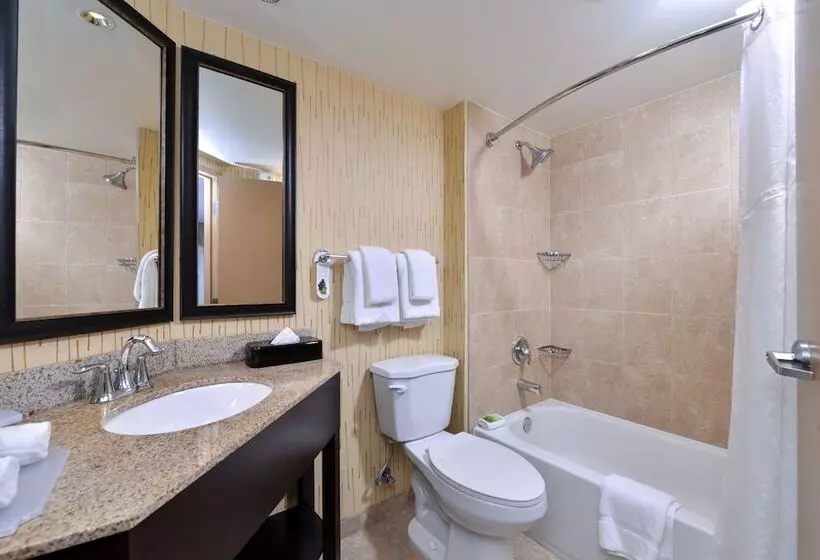 ２ダブルベッドのスタンダードルーム, Holiday Inn Express Hunt Valley, An Ihg