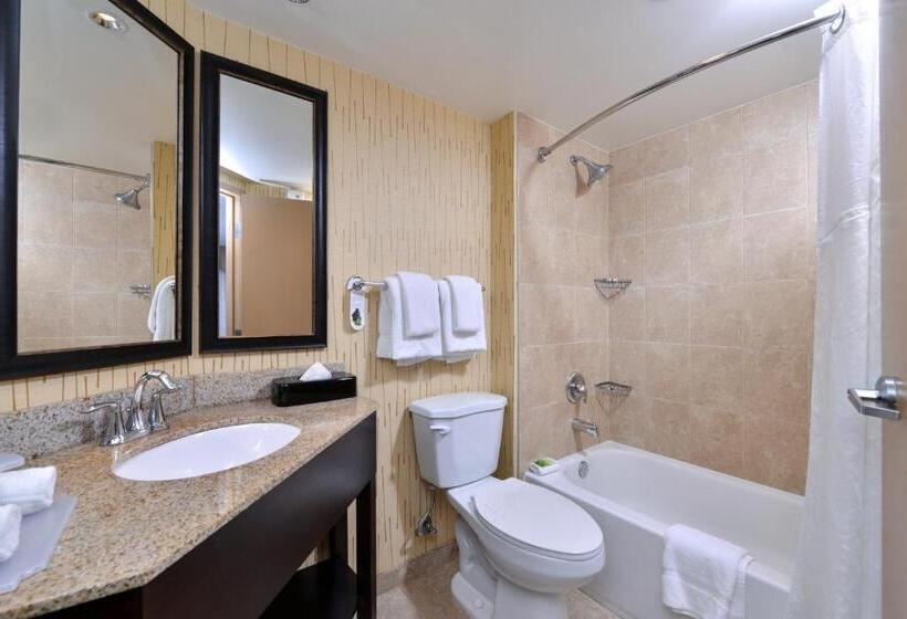 חדר סטנדרט עם מיטת קינג, Holiday Inn Express Hunt Valley, An Ihg