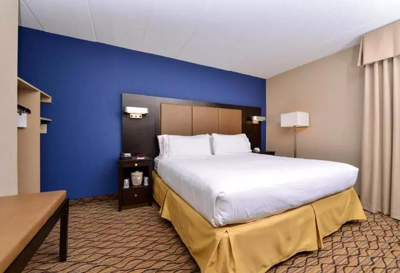 身障者適用キングサイズベッドルーム, Holiday Inn Express Hunt Valley, An Ihg