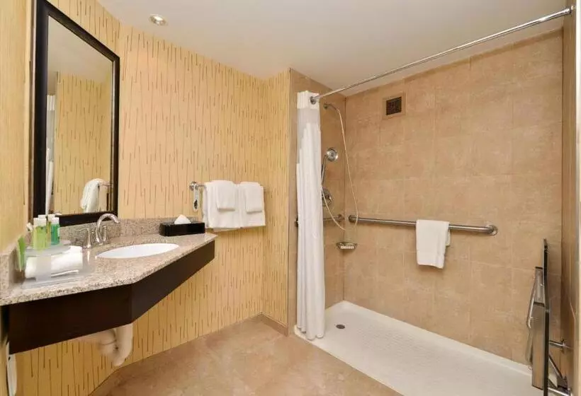 身障者適用キングサイズベッドルーム, Holiday Inn Express Hunt Valley, An Ihg