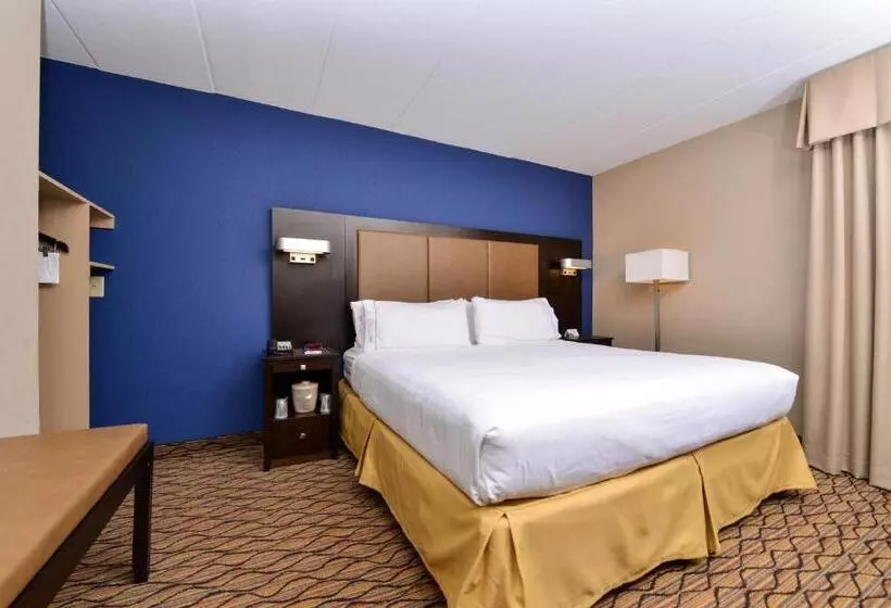 身障者適用キングサイズベッドルーム, Holiday Inn Express Hunt Valley, An Ihg