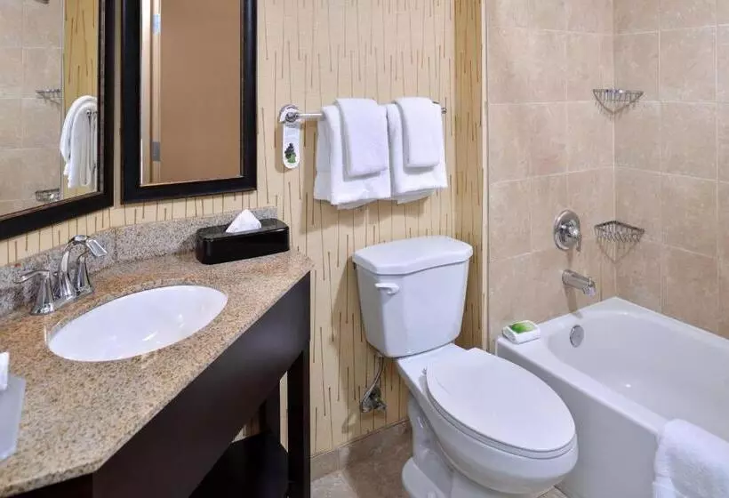 デラックスルーム, Holiday Inn Express Hunt Valley, An Ihg