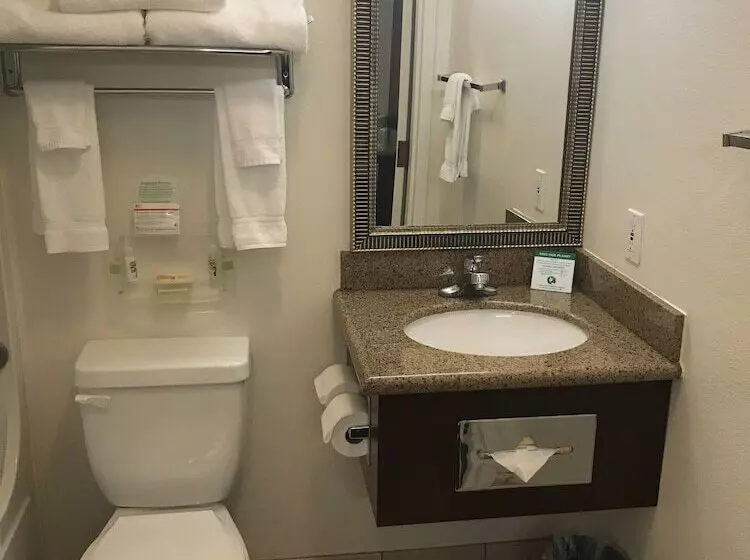 スタンダードルーム, Holiday Inn Redding, An Ihg