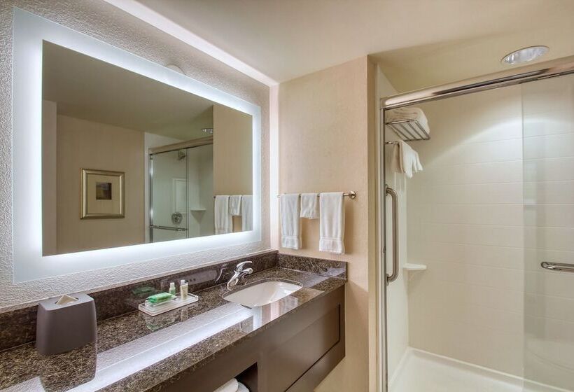 Quarto Standard 2 Camas Casal, Holiday Inn & Suites Atlanta Airport North, An Ihg