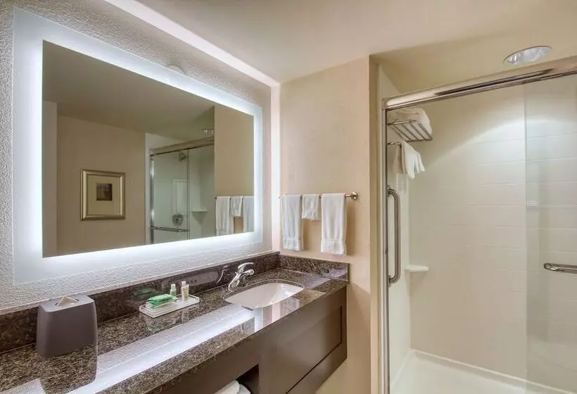 2ダブルベッドのスタンダードルーム, Holiday Inn & Suites Atlanta Airport North, An Ihg