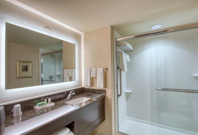 جناح, Holiday Inn & Suites Atlanta Airport North, An Ihg