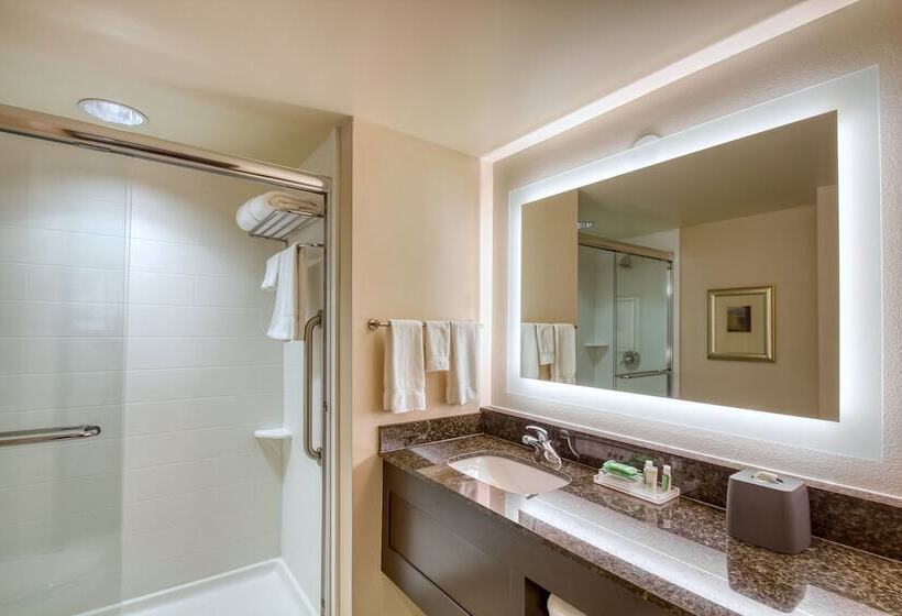 Suite, Holiday Inn & Suites Atlanta Airport North, An Ihg