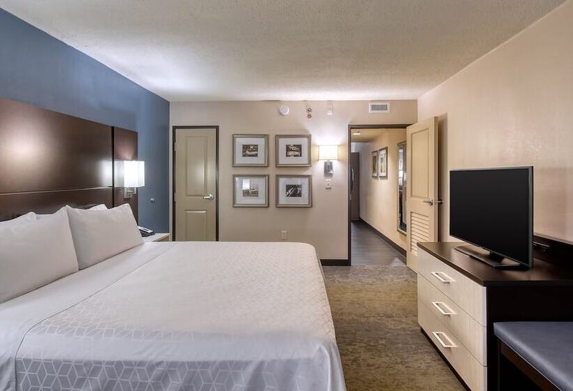 جناح, Holiday Inn & Suites Atlanta Airport North, An Ihg