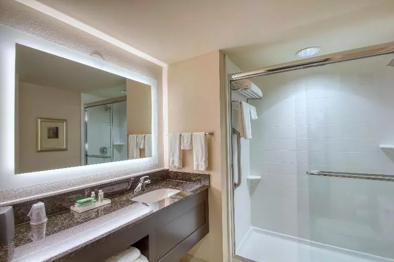 スイート, Holiday Inn & Suites Atlanta Airport North, An Ihg