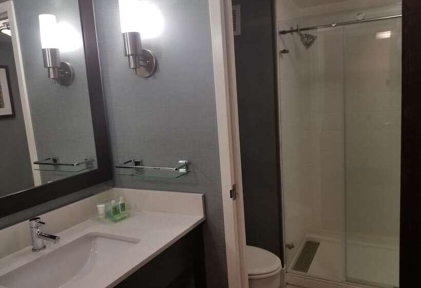 ２ダブルベッドのスタンダードルーム, Holiday Inn Youngstown South   Boardman, An Ihg