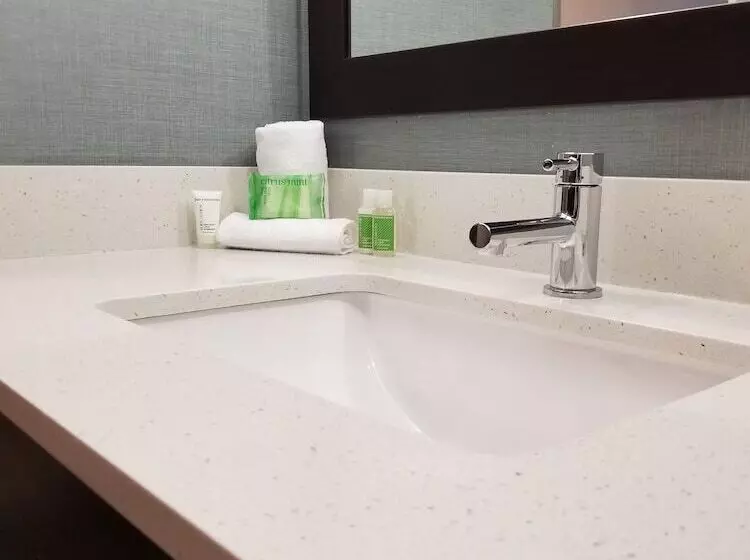 スイート, Holiday Inn Youngstown South Boardman, An Ihg