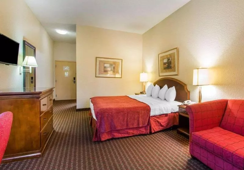 身障者適用スタンダードルーム, Holiday Inn Youngstown South Boardman, An Ihg