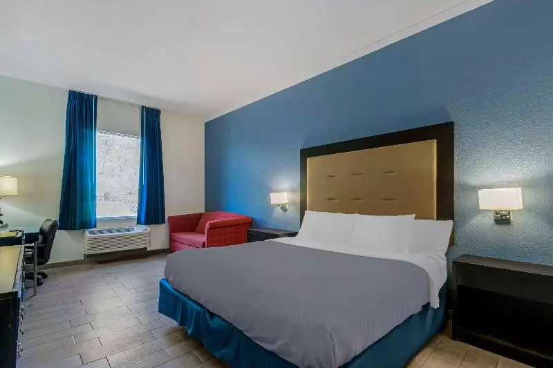 身障者適用スタンダードルーム, Holiday Inn Youngstown South Boardman, An Ihg