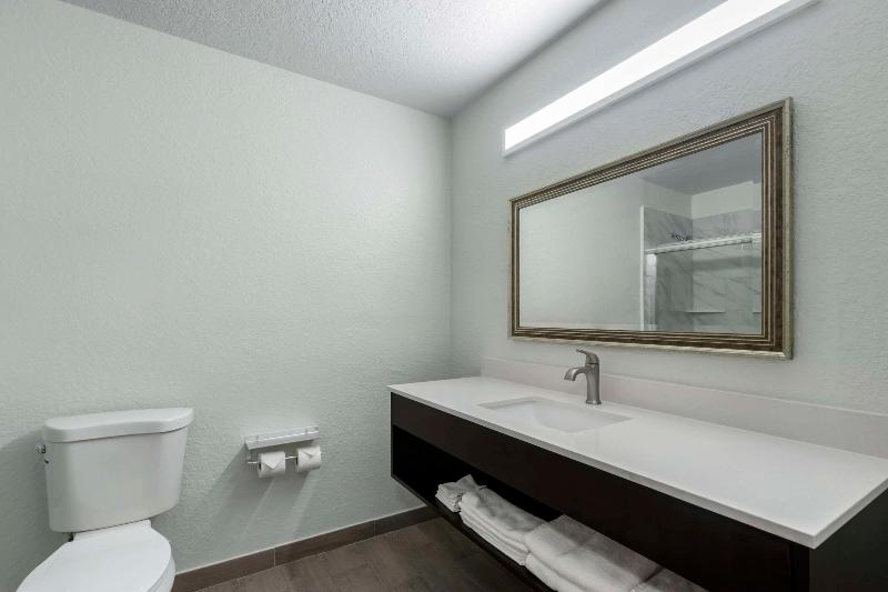 身障者適用スタンダードルーム, Holiday Inn Youngstown South   Boardman, An Ihg