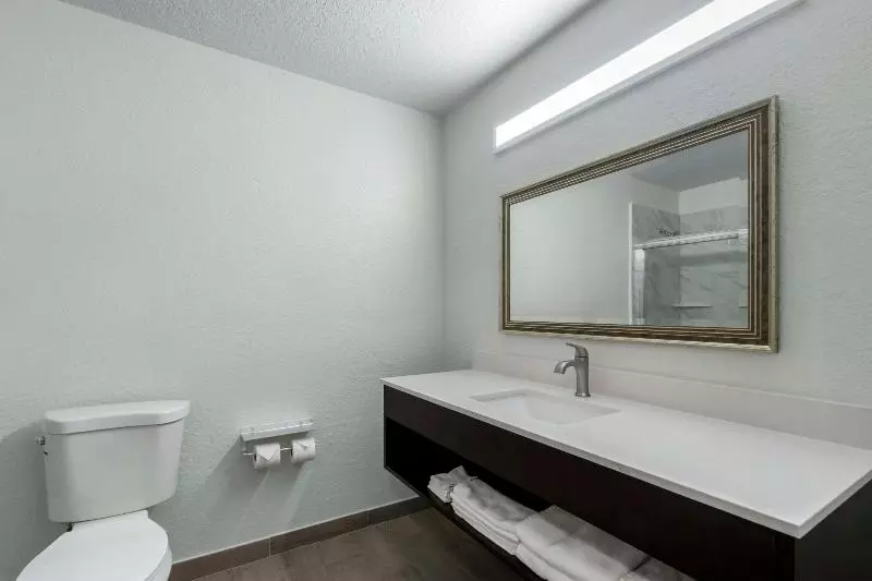 身障者適用スタンダードルーム, Holiday Inn Youngstown South Boardman, An Ihg