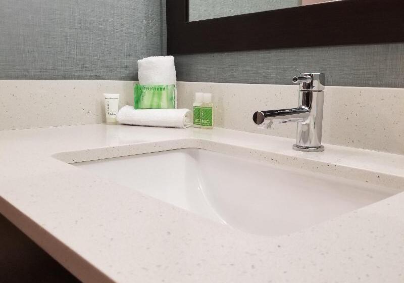 キングサイズベッドのスタンダードルーム, Holiday Inn Youngstown South   Boardman, An Ihg