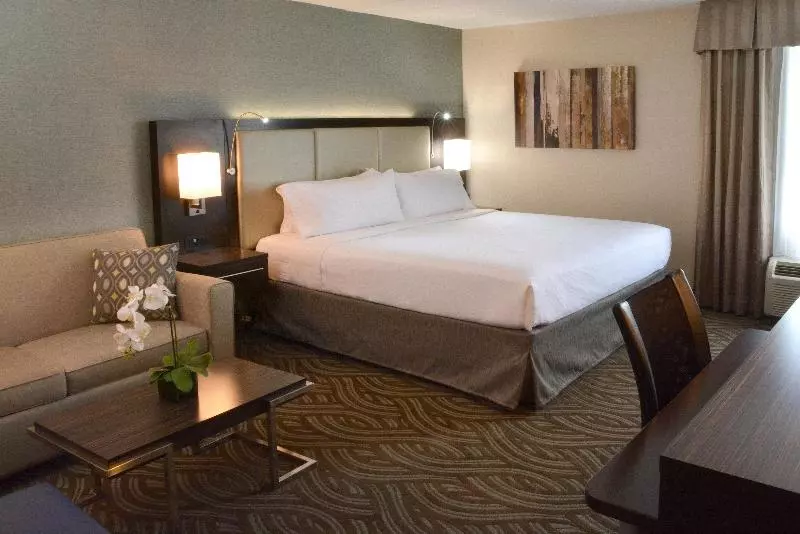 キングサイズベッドのスタンダードルーム, Holiday Inn Youngstown South Boardman, An Ihg
