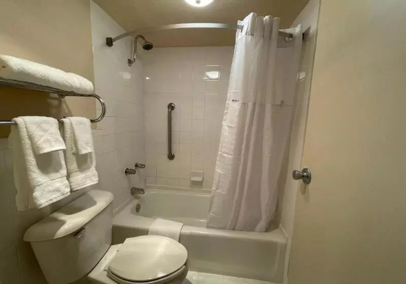 اتاق استاندارد با تخت بزرگ, Quality Inn