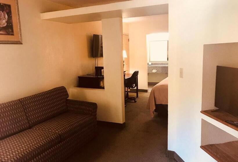 جناح سرير كينج, Quality Inn & Suites Conference Center Statesboro Historic District