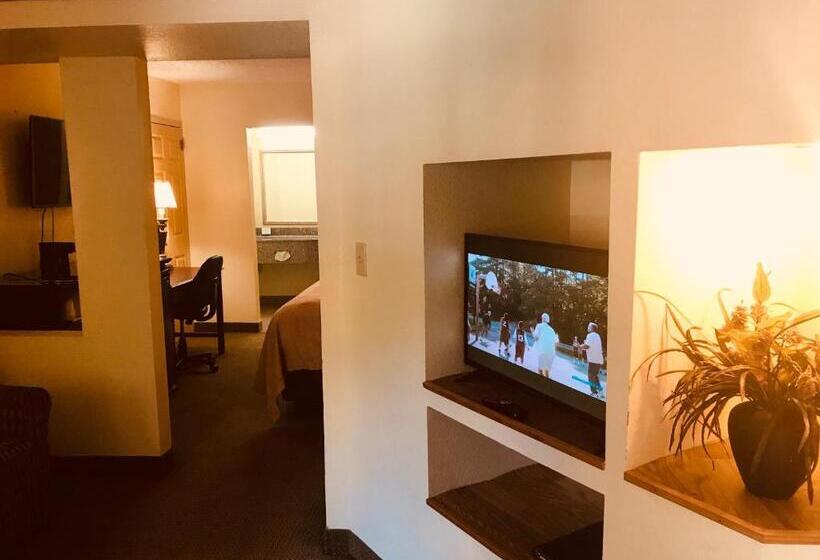 جناح سرير كينج, Quality Inn & Suites Conference Center Statesboro Historic District