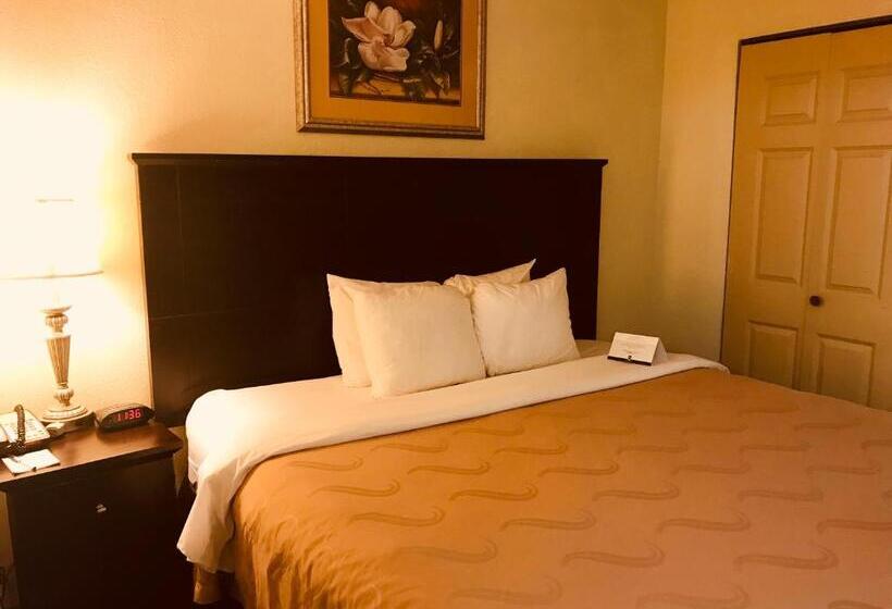 Люкс Кровать Кинг, Quality Inn & Suites Conference Center Statesboro Historic District