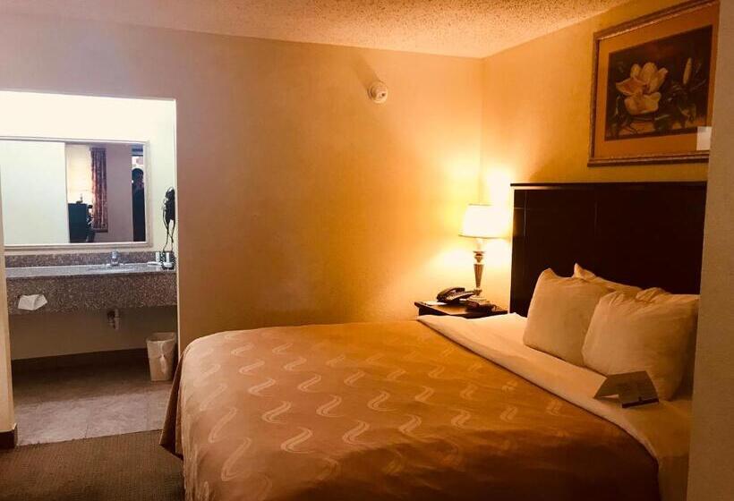 جناح سرير كينج, Quality Inn & Suites Conference Center Statesboro Historic District