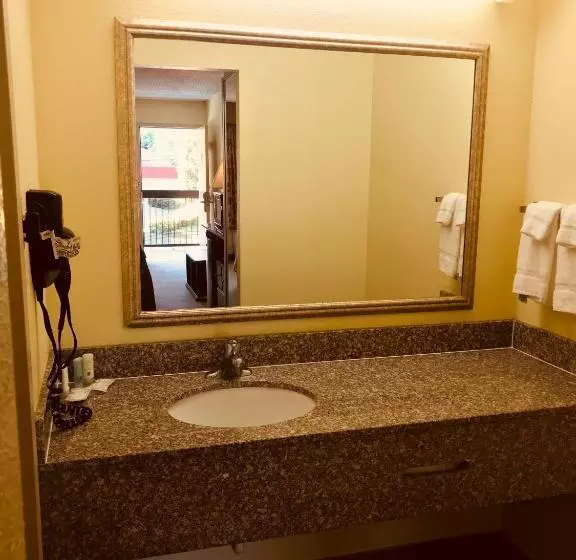 スタンダードルーム, Quality Inn & Suites Conference Center Statesboro Historic District