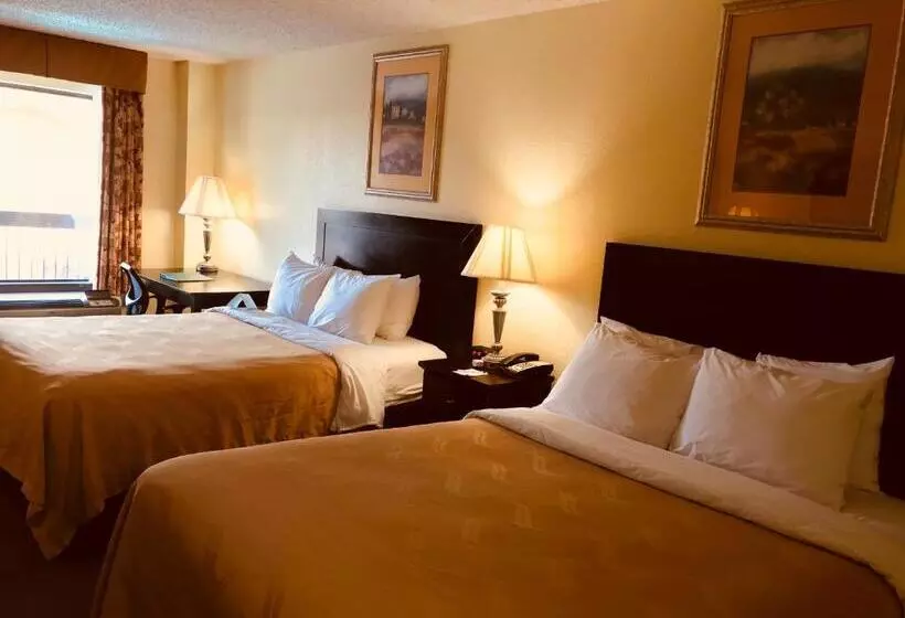 スタンダードルーム, Quality Inn & Suites Conference Center Statesboro Historic District