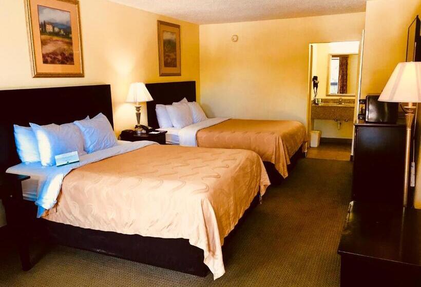 Номер Стандарт, Quality Inn & Suites Conference Center Statesboro Historic District
