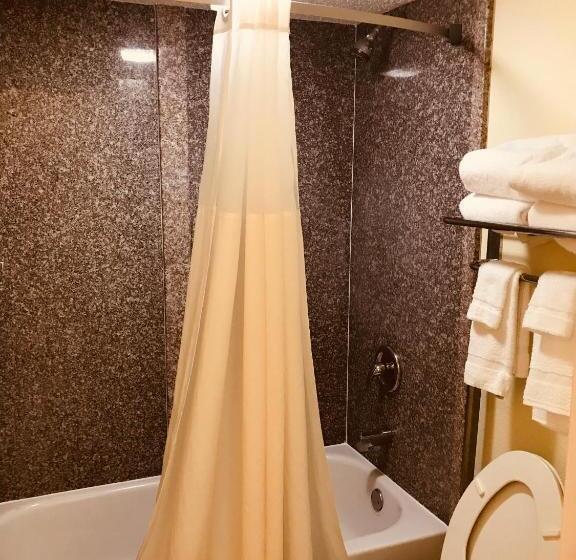 غرفة قياسية سرير كينج, Quality Inn & Suites Conference Center Statesboro Historic District