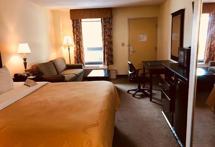 غرفة قياسية سرير كينج, Quality Inn & Suites Conference Center Statesboro Historic District