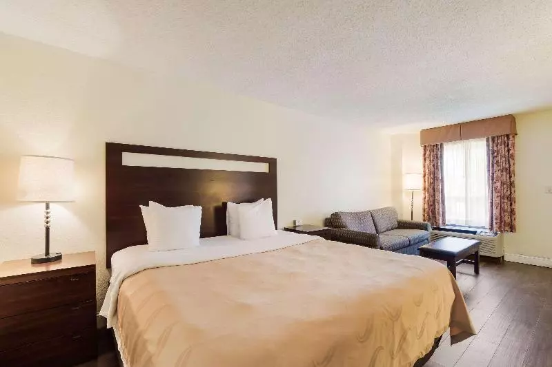 キングサイズベッドのスタンダードルーム, Quality Inn & Suites Conference Center Statesboro Historic District