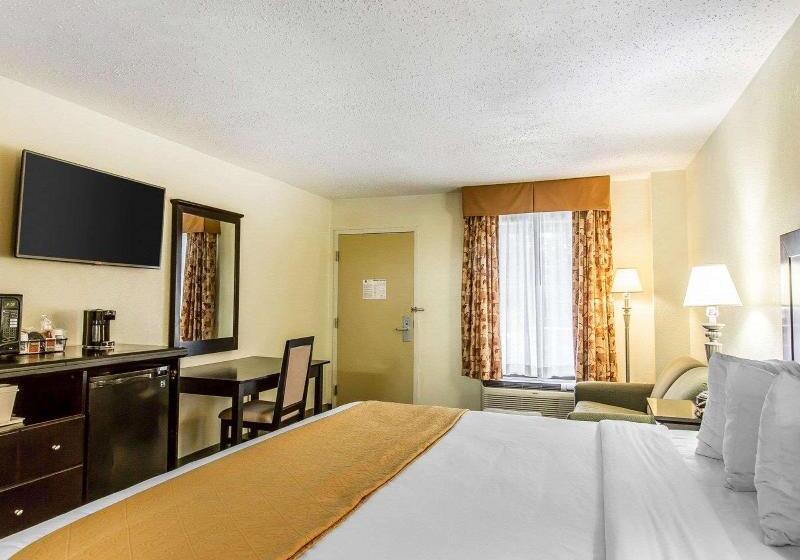 Стандартный Номер Кровать Кинг, Quality Inn & Suites Conference Center Statesboro Historic District
